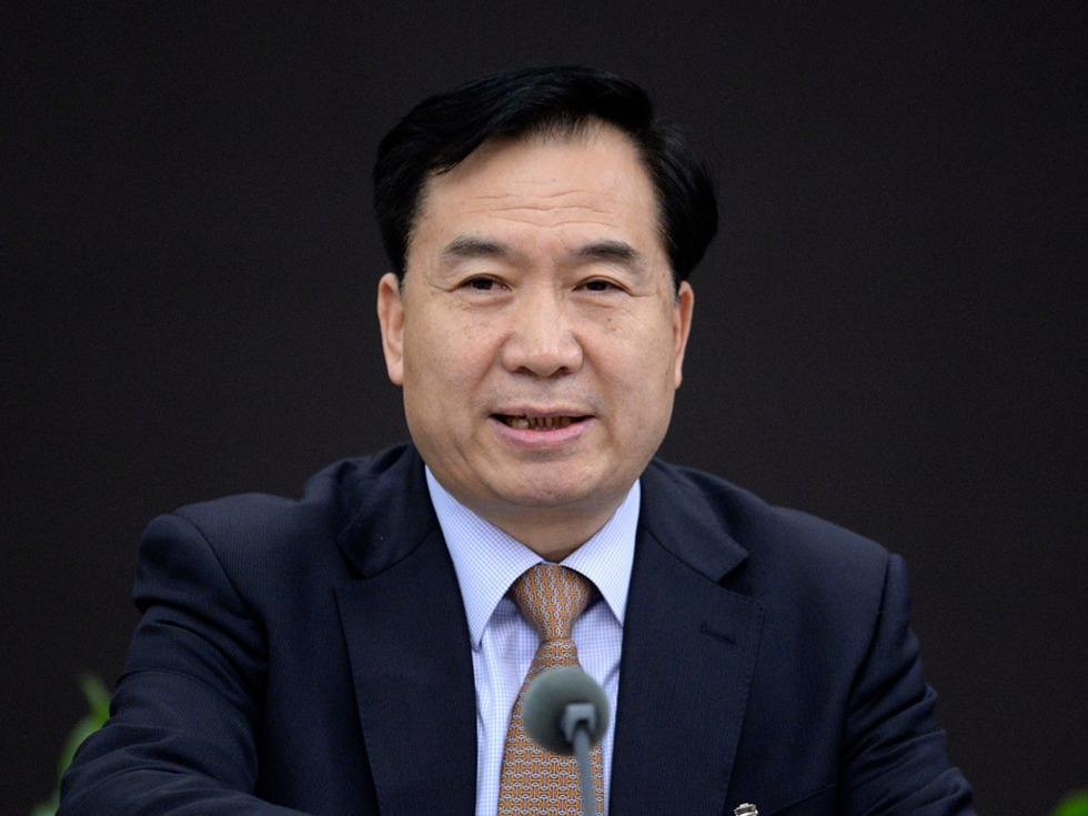 李希：推动粤港澳大湾区建设取得扎实成效