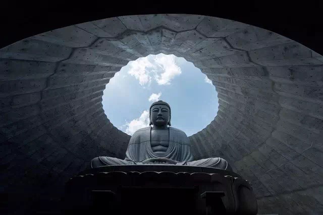 神圣的佛竟淹没于薰衣草的花海中，安藤忠雄这次颠覆的不是设计而是信仰